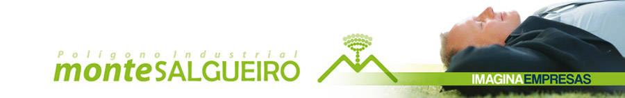 logotipo MOntesalgueiro